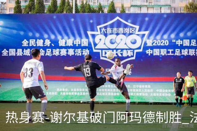 热身赛-谢尔基破门阿玛德制胜 法国1-2遭科特迪瓦逆转